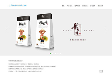 简洁品牌广告网络设计类企业公司网站