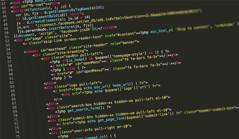 网站运营初期该如何生存