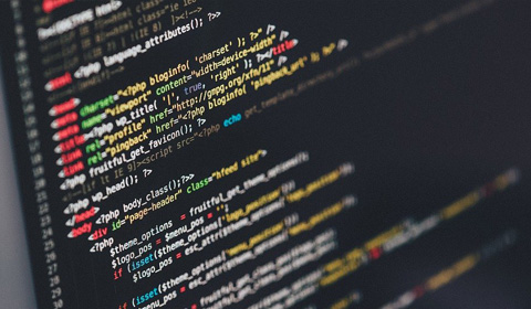 不用SEO一样有流量